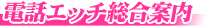 ﾃﾚﾋﾞ電話H総合案内